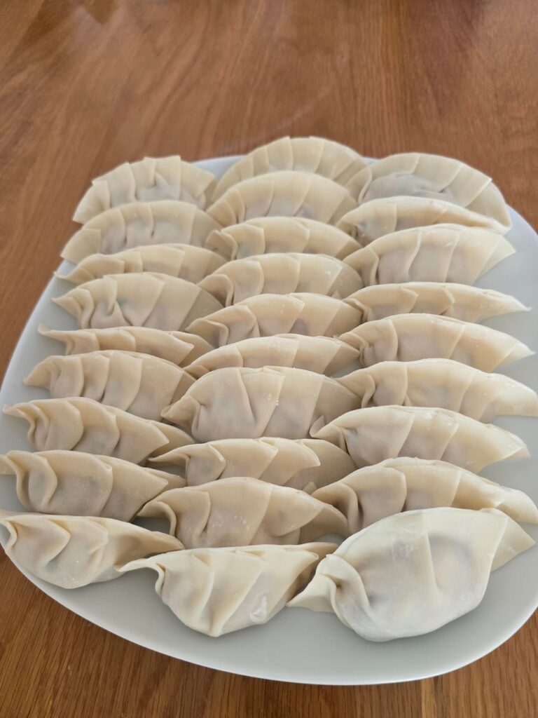 Homemade Mandu