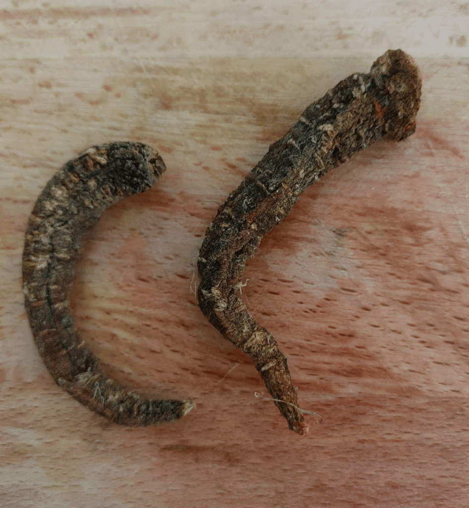 I forgot carrots in my fridge for 2-3 years.