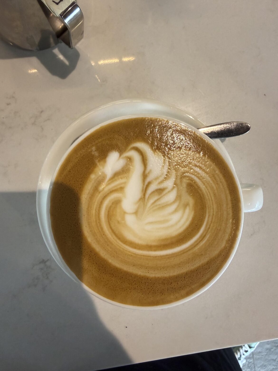 Working on my swans!