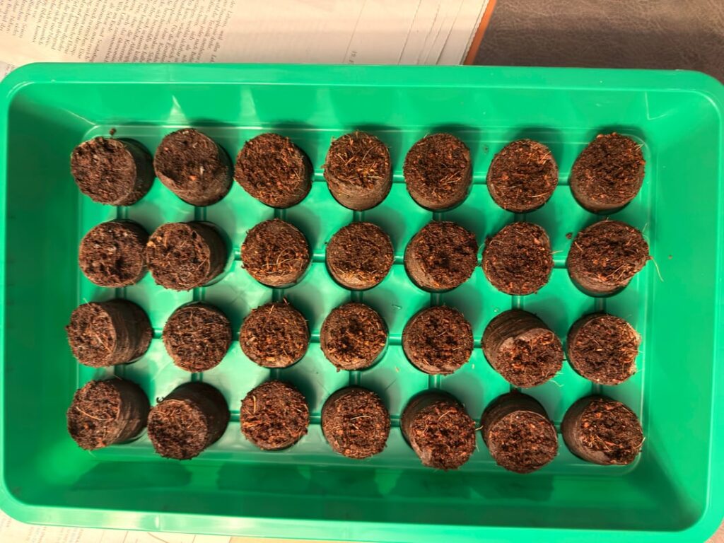 Feeling like Walter White