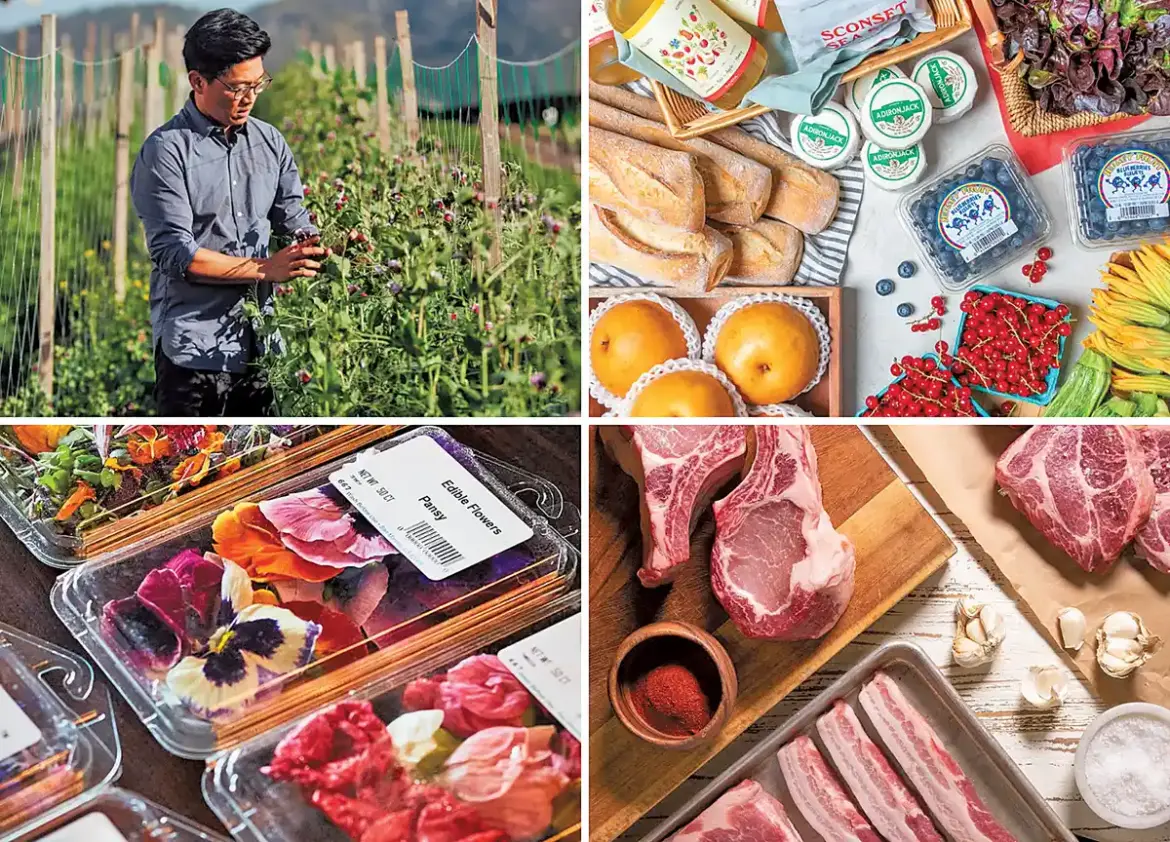 dining trends forecast Baldor