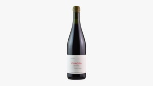 Bodega Chacra 2022 Treinta y Dos Pinot Noir Patagonia