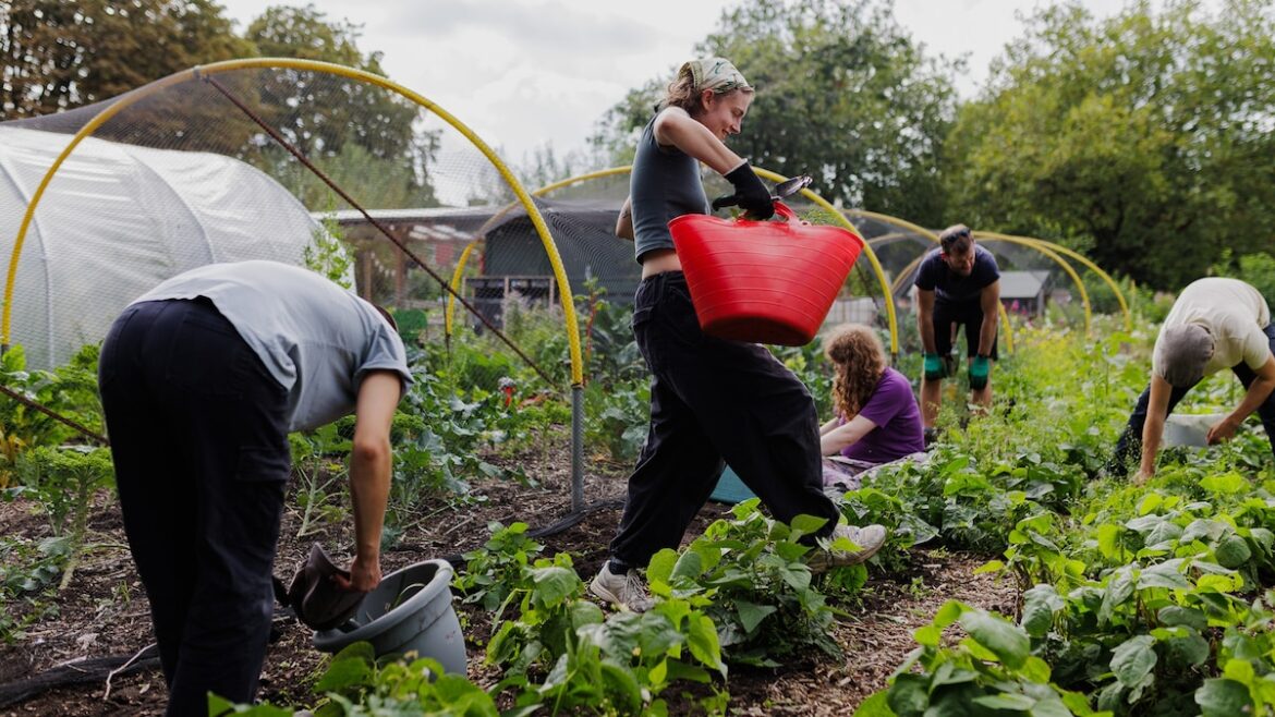 How hyperlocal dining is revolutionising the UK’s food scene