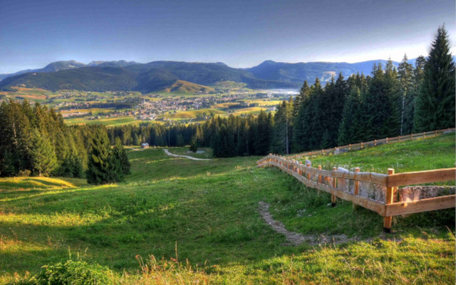GIFT_ASIAGO DOP CHEESE ECOSYSTEM