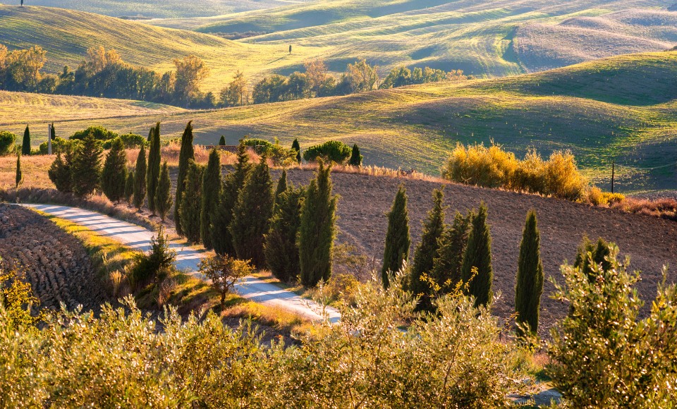 Enjoying the Tuscan landscape