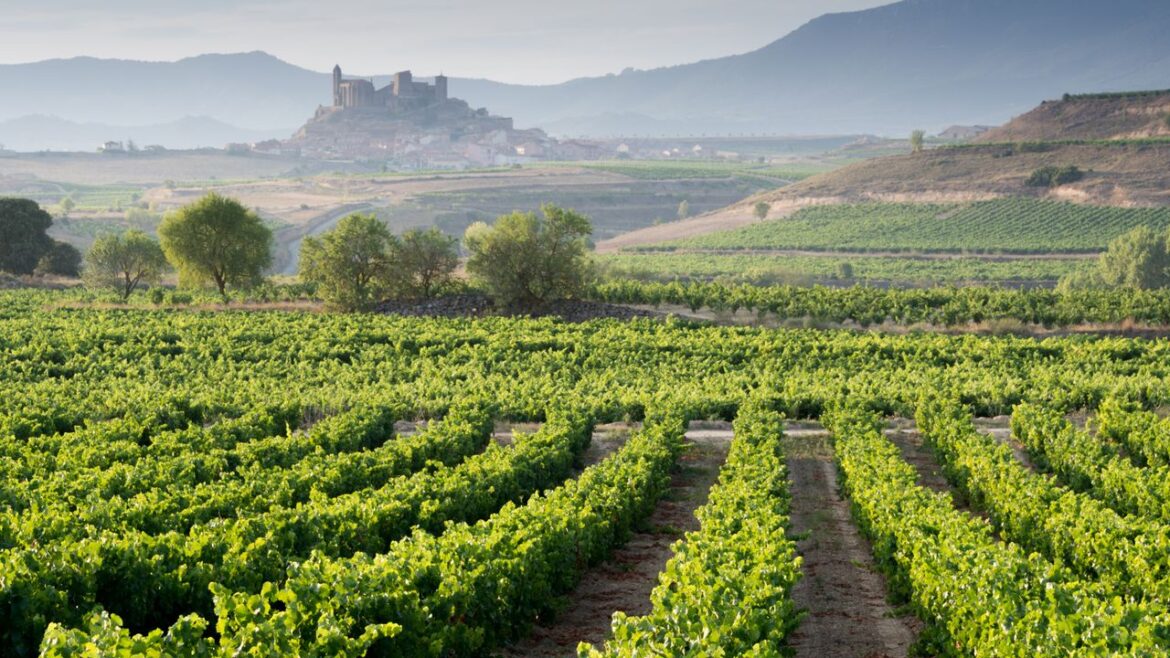 A Guide to Spanish Wine Country