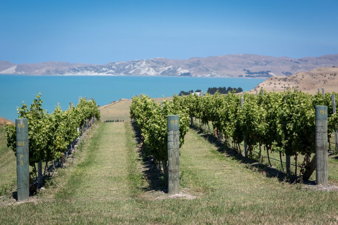 moving the Marlborough conversation on
