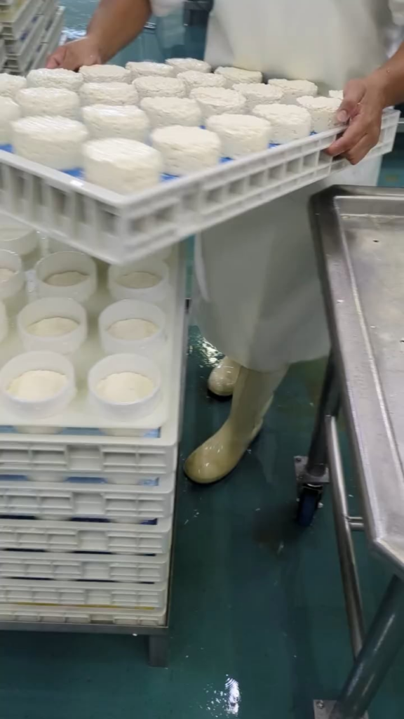 This is how cheese makers add edible ash to cheese. This is « Ash Island » from Fromagerie Fritz Kaiser in Noyan, QC