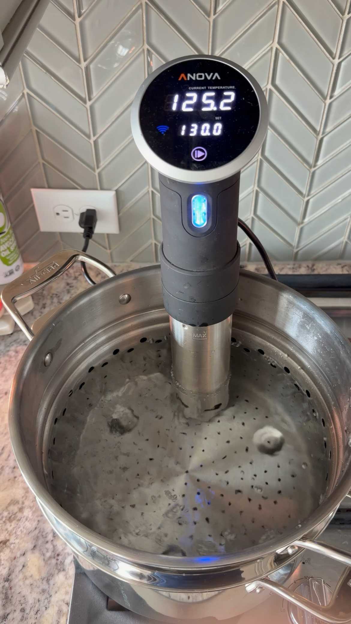 Is this a death rattle for my Anova? Revving noise of circulator.