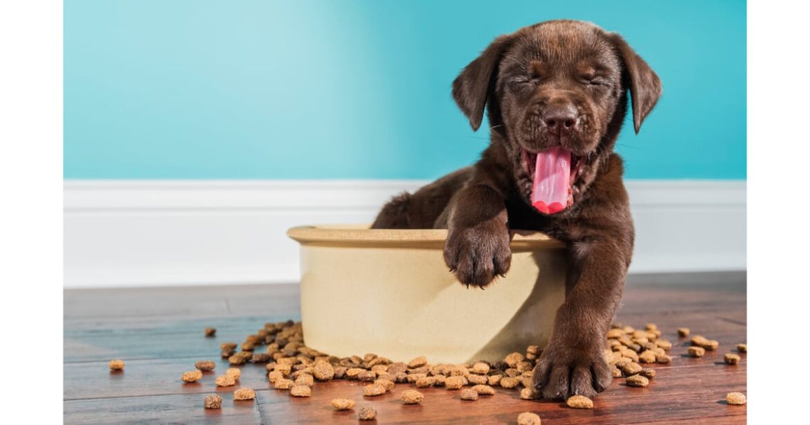 Nasta Pet Food Acquires FirstMate Pet Foods