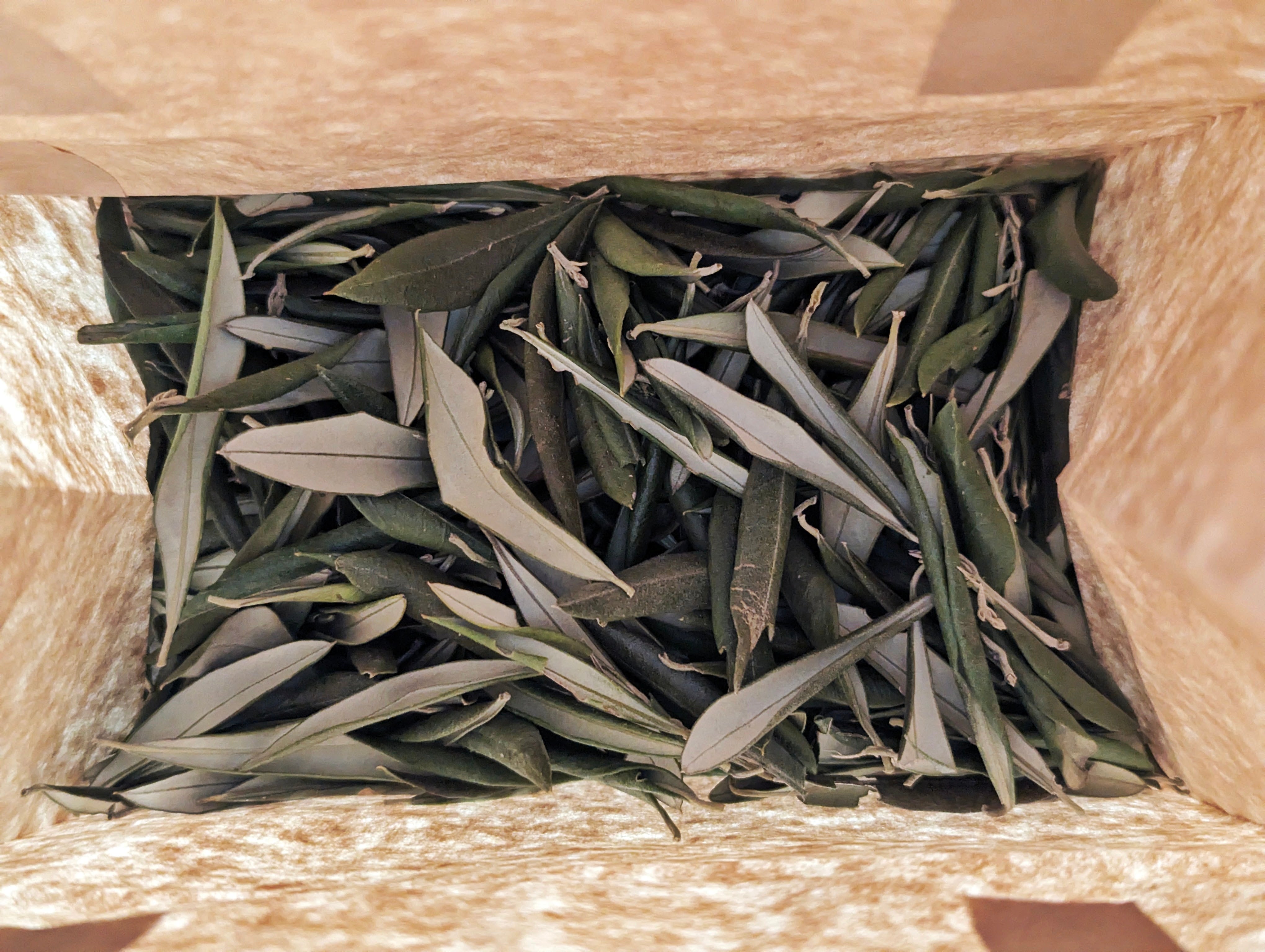 Olive leaves, long treated as by-products, are increasingly brewed into teas and infusions, part of a wider belief that the olive tree is generous far beyond its fruit