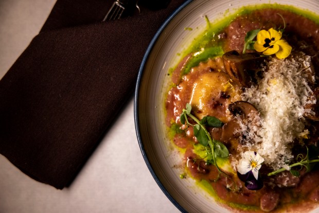 The finished product of Chef Tyiquan McDuffie's duck confit ravioli at Still Worldly Eclectic Tapas in Portsmouth on Wednesday, Jan. 14, 2026. The dish consists of duck confit ravioli stuffed with ricotta goat cheese and caramelized onions, with mushroom conserva, chive oil, affilla cress, parmesan cheese and lemon zest topped with a beurre rouge sauce. (Kendall Warner/The Virginian-Pilot)