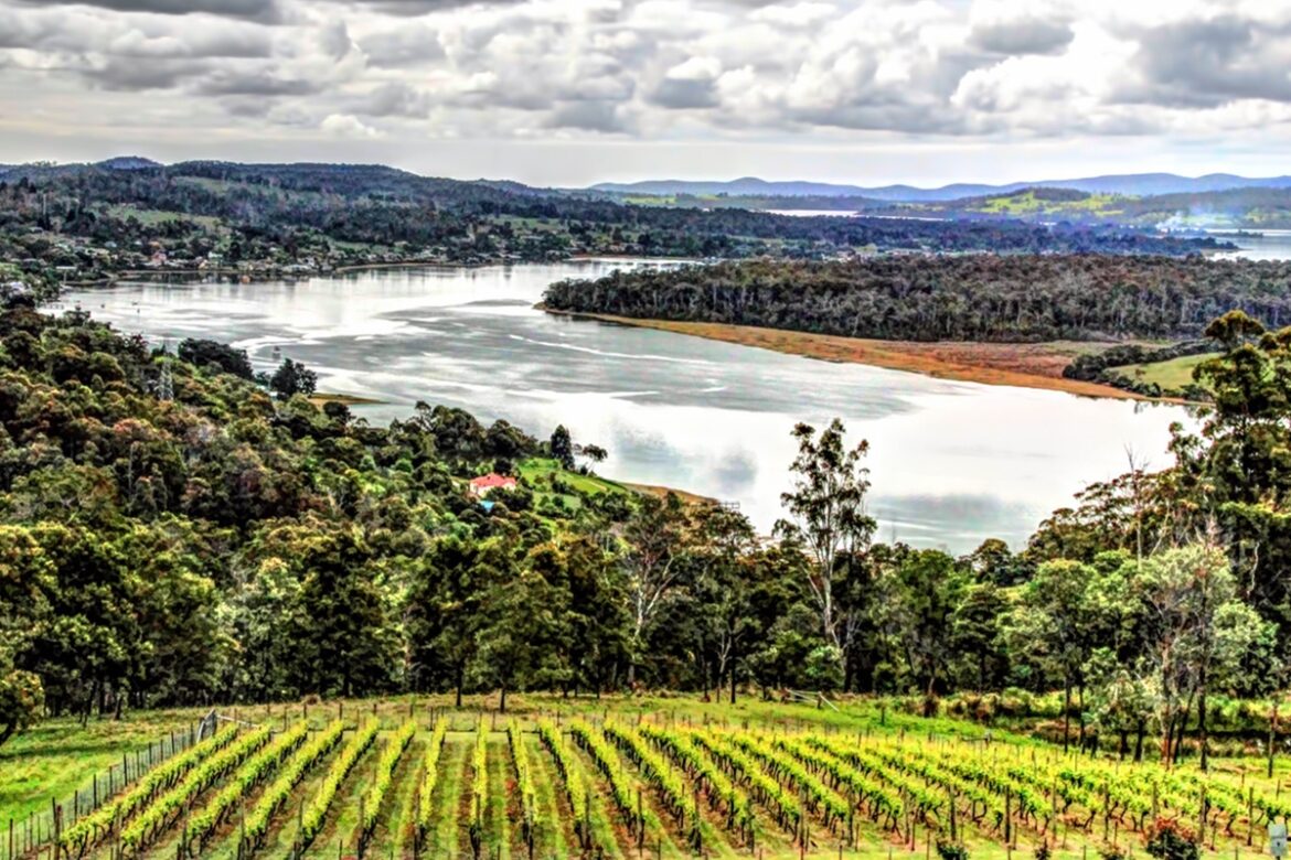 Applications wine tasmania tour