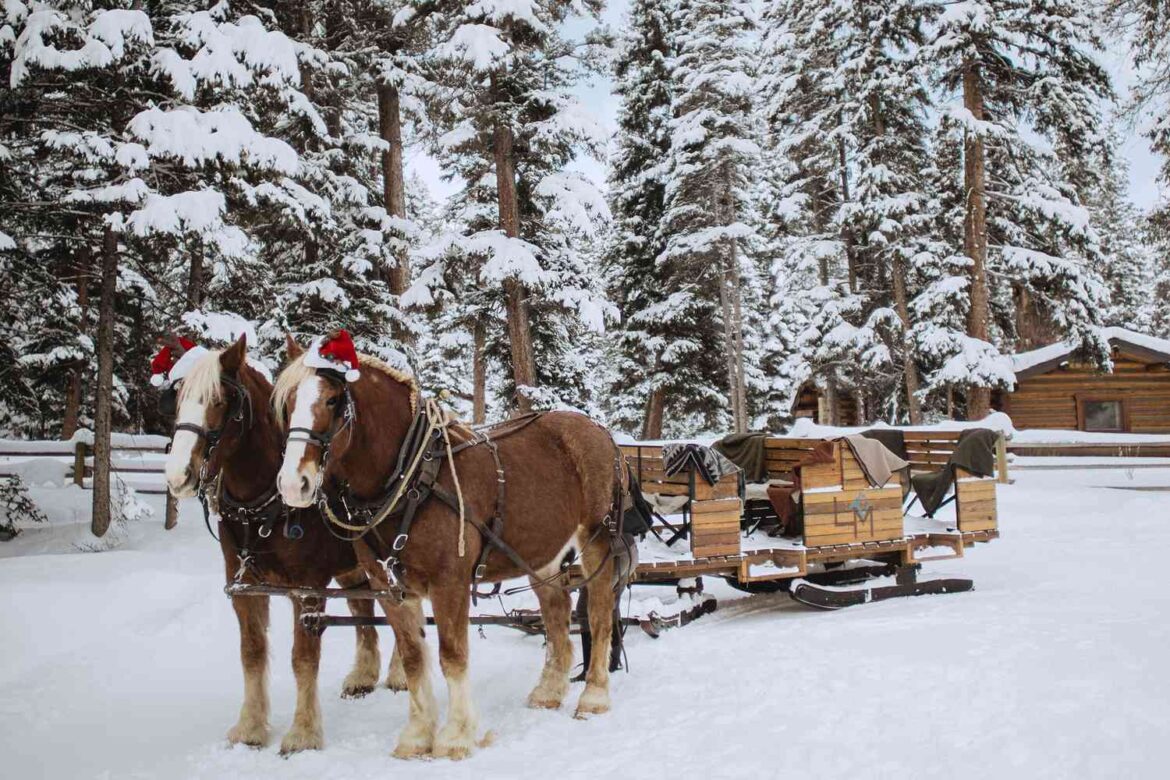Take a Sleigh Ride to Dinner in the Montana Woods