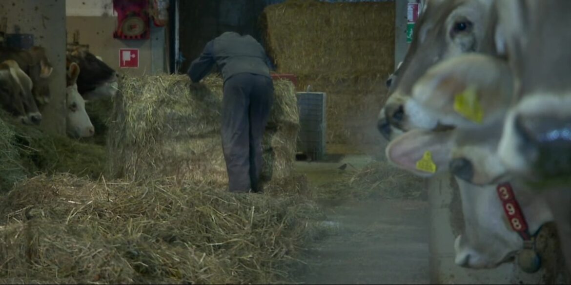 A snowy Italian village with a rich culinary scene A snowy Italian village with a rich culinary scene