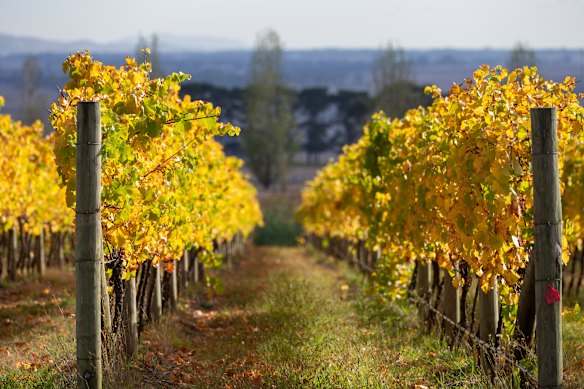 A one-stop shop of good wine, food and accommodation.