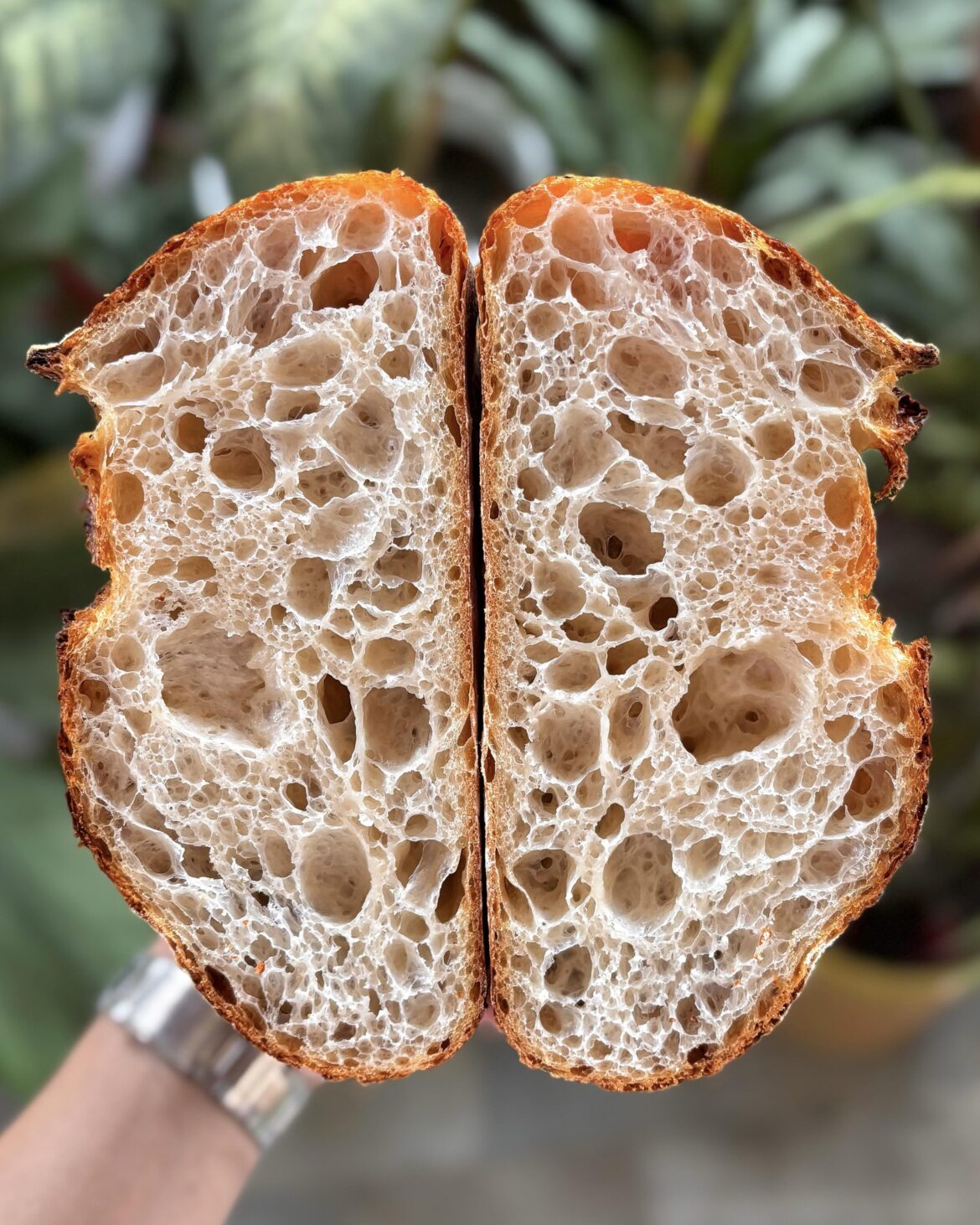 today’s high hydration bake!