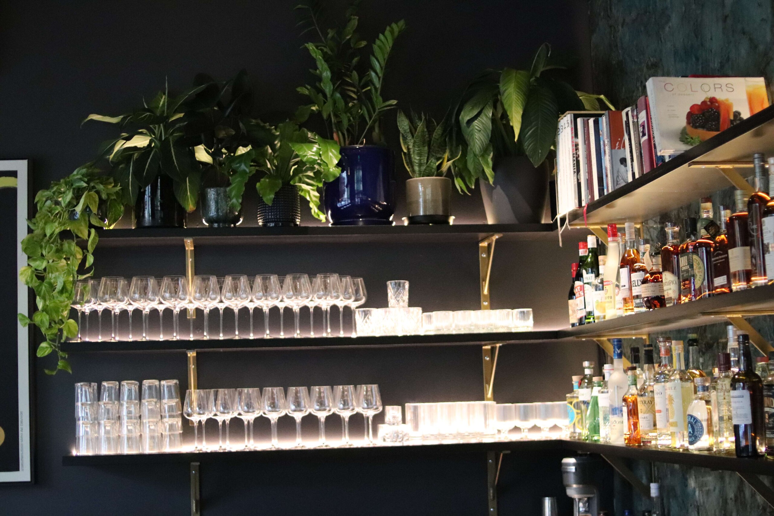 Hey Luigi plants wall