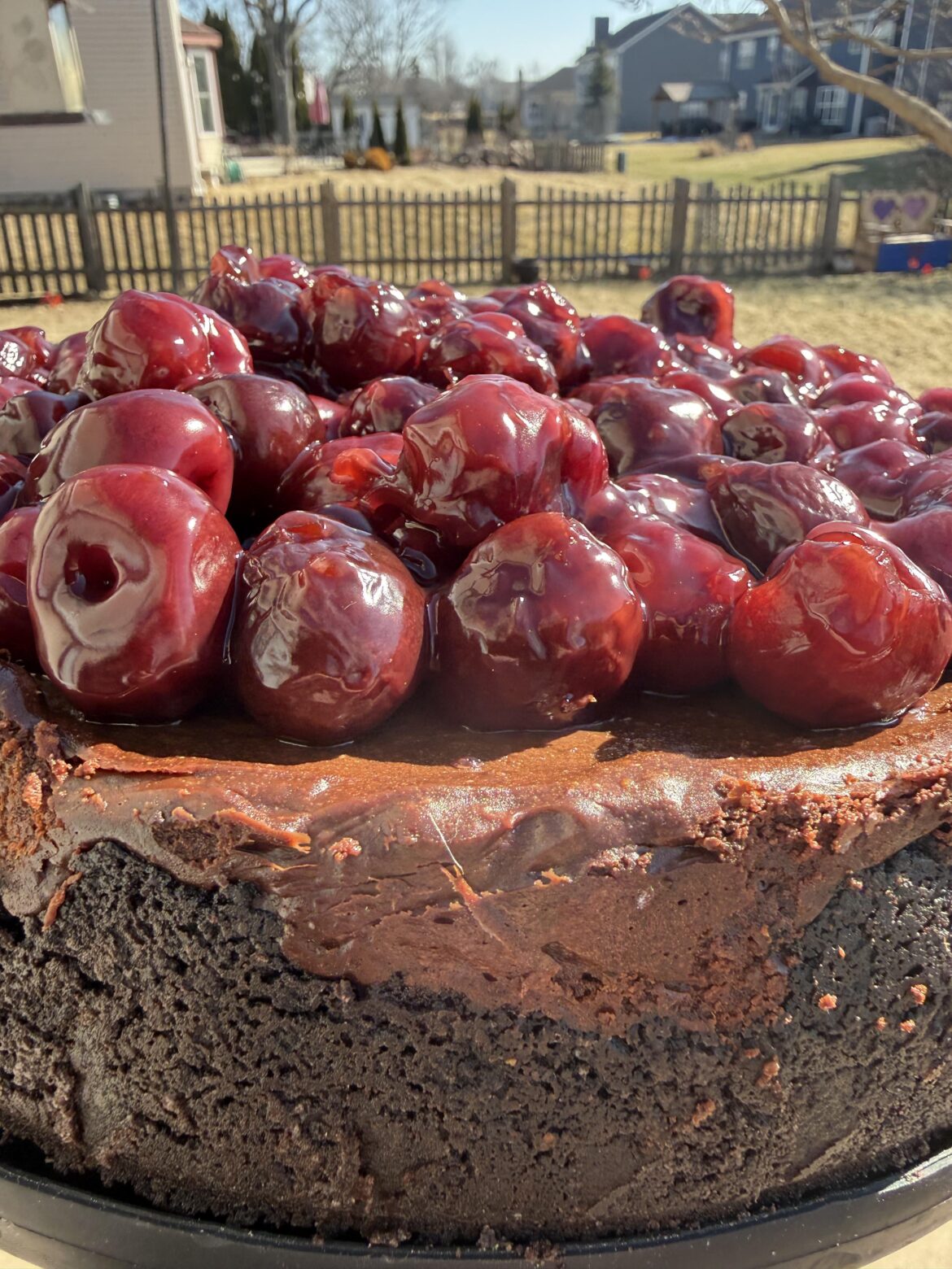 Chocolate Cherry Cheesecake