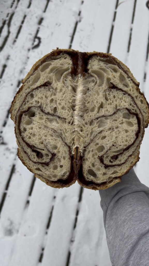 Got a pretty nice crumb on this cinnamon sugar sourdough i made!