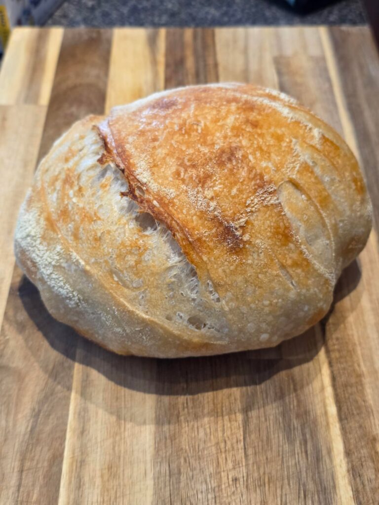 First starter, first loaf