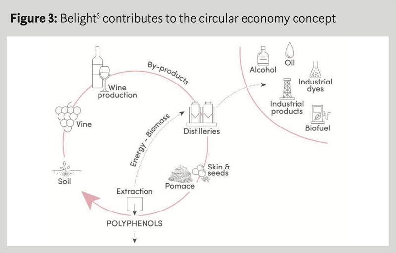 Belight3: the natural ingredient clinically proven to  reduce dark spots