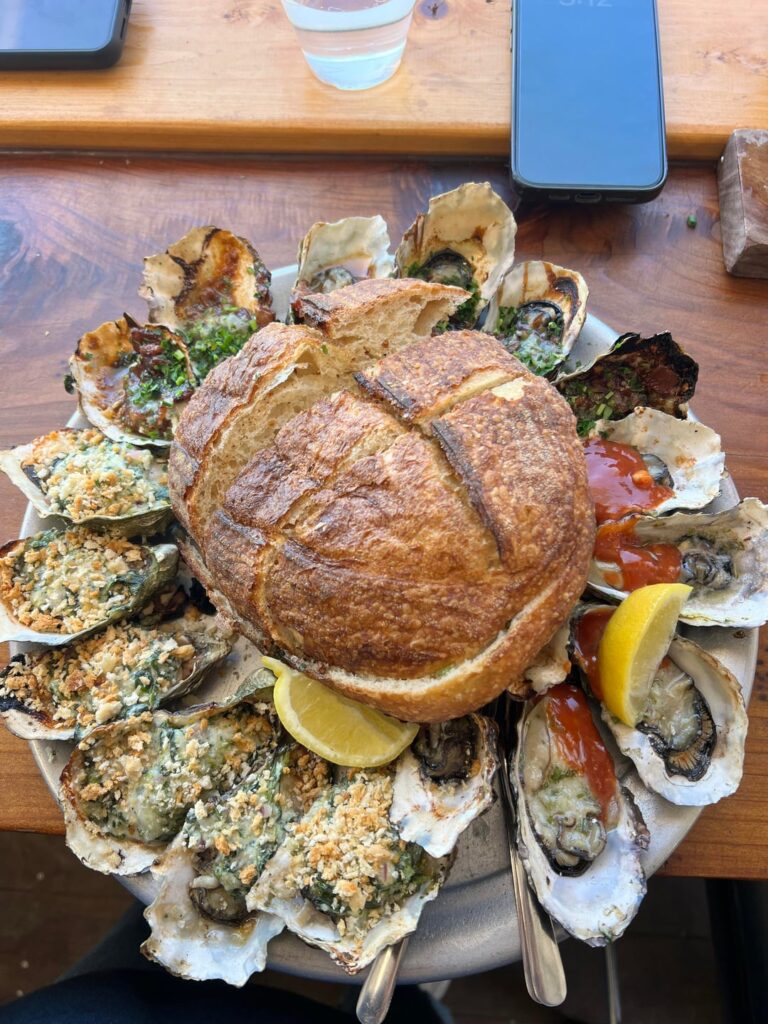 Beautiful assortment of oysters in gorgeous Tomales Bay/Marshall, CA (07/2025)