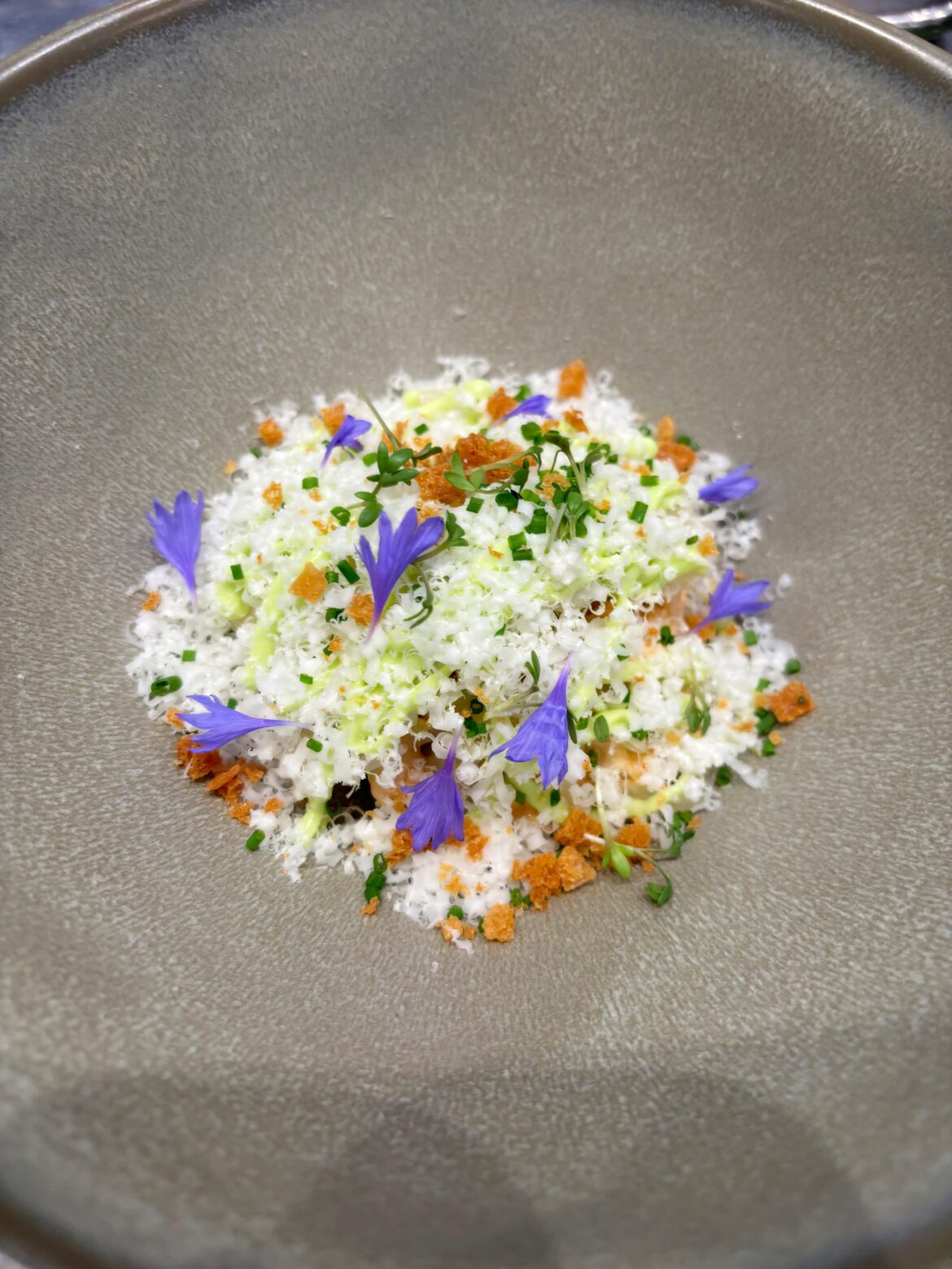 Beetroot • verjus dressing • herb emulsion • aged goat cheese