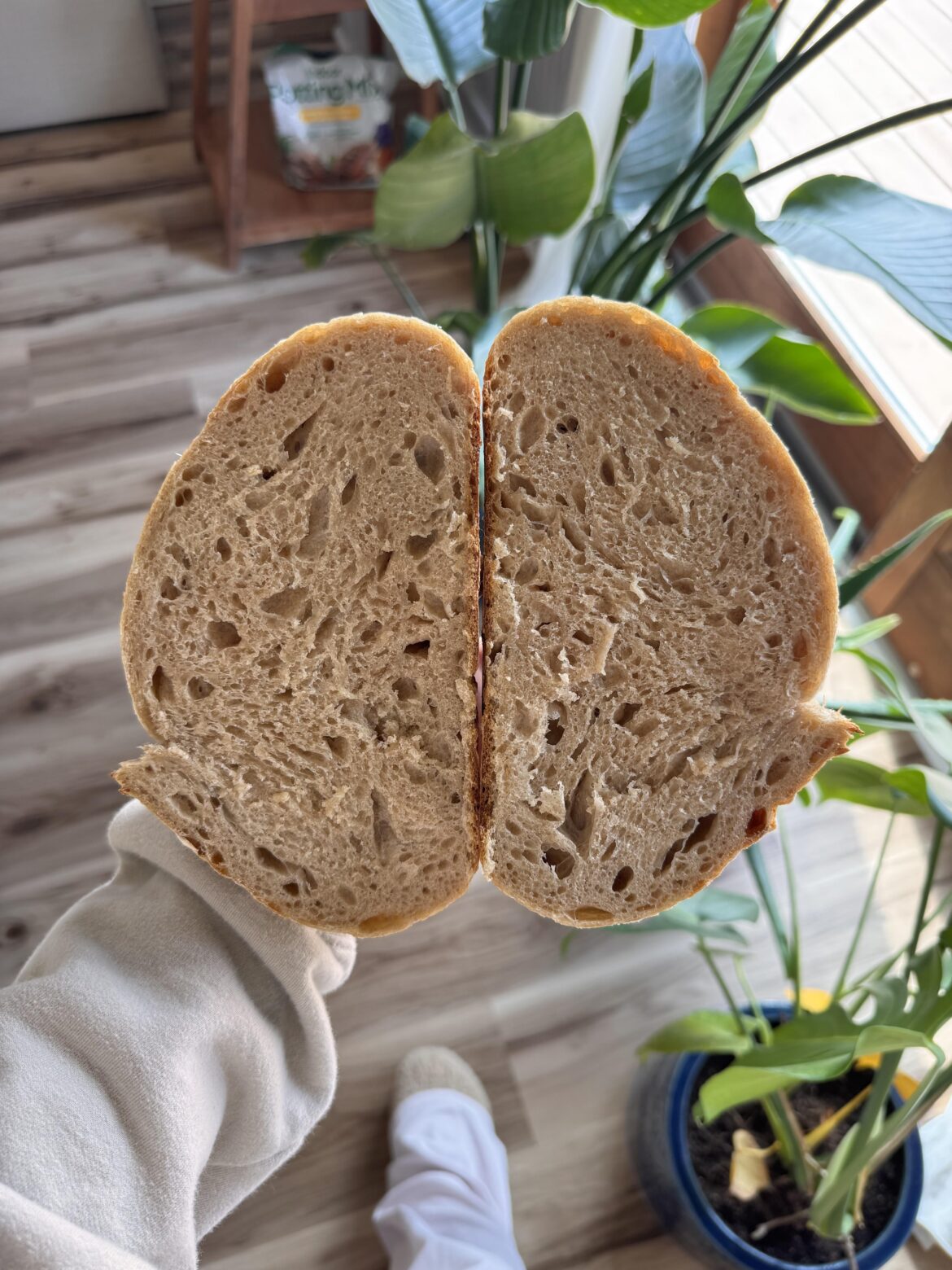 My 1000th loaf ! My 1000th loaf !