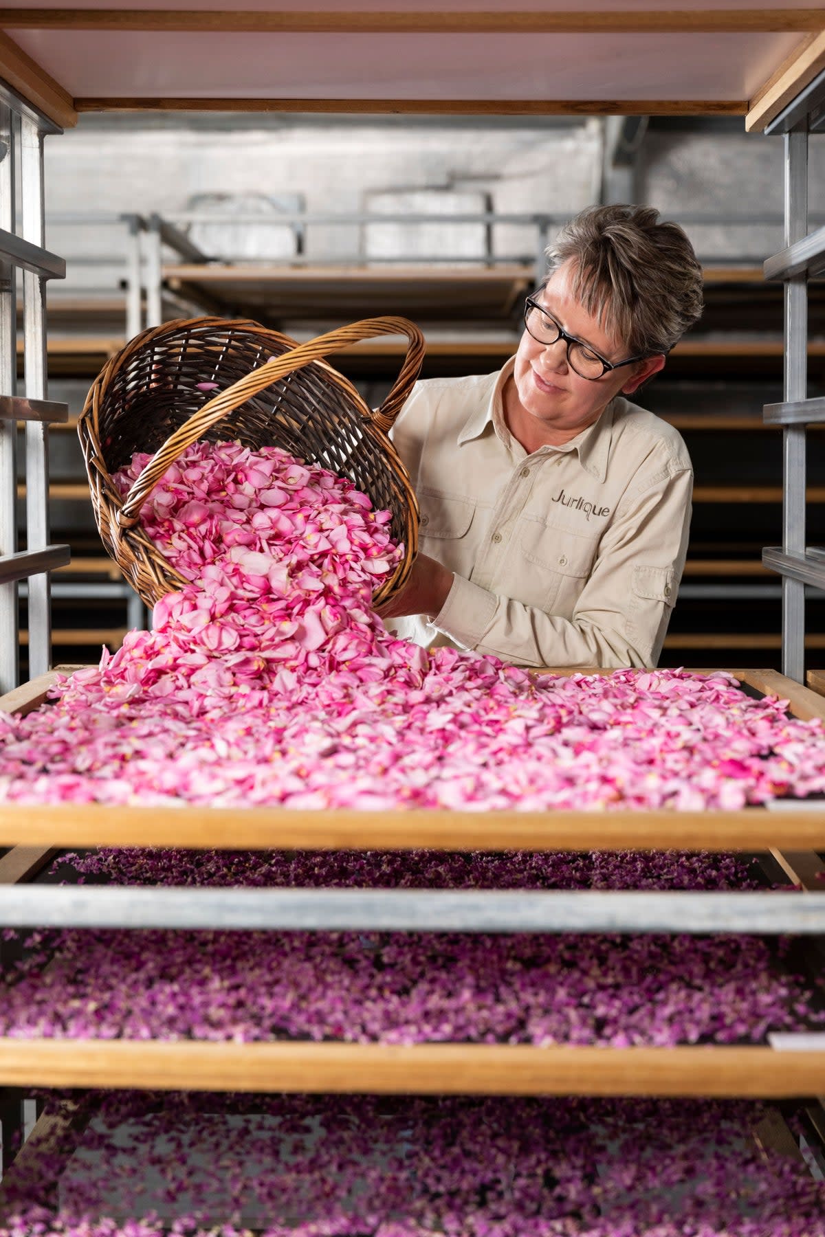 Rose petals in the drying room at Jurlique Farm (Jurlique International)