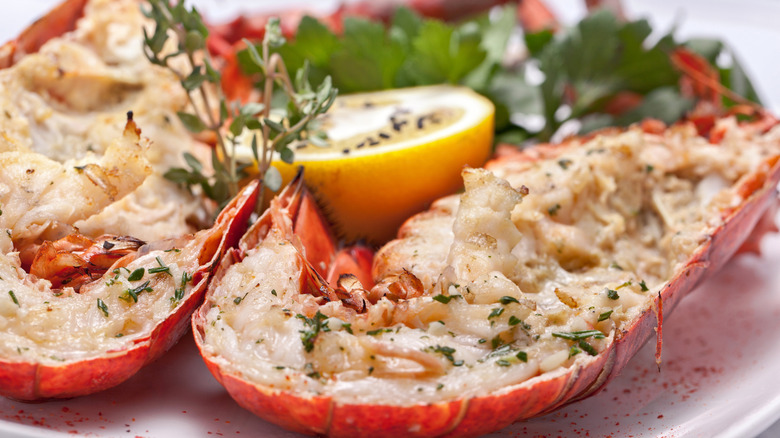 Cooked lobster tail with lemon and herbs