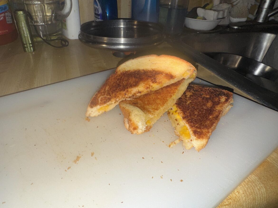 Apologies for the potato quality picture. But I’m proud of this one. Basic white bread, margarine spread, cheddar and American garlic powder melt. But I made this in the dark during a power outage on my wood stove