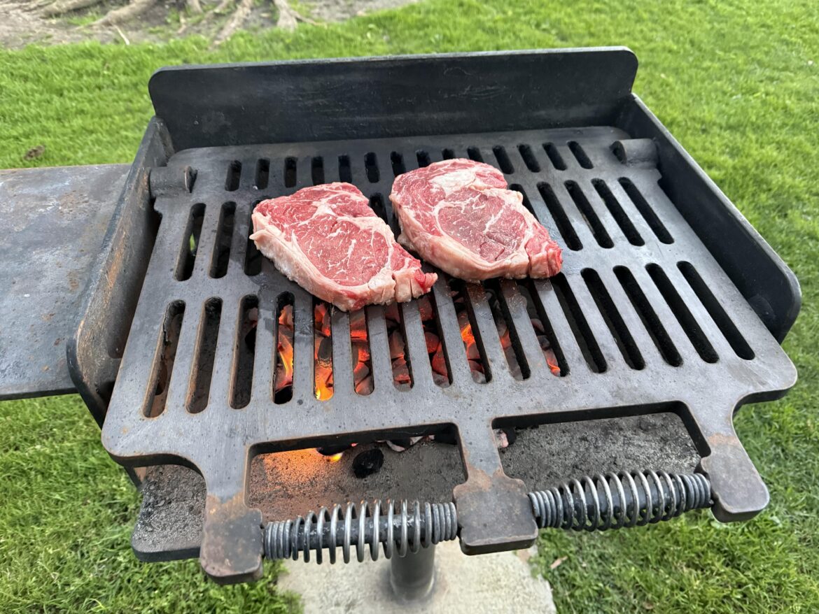 Someone stole our grill so I’m cooking $105 worth of prime ribeye at the park.