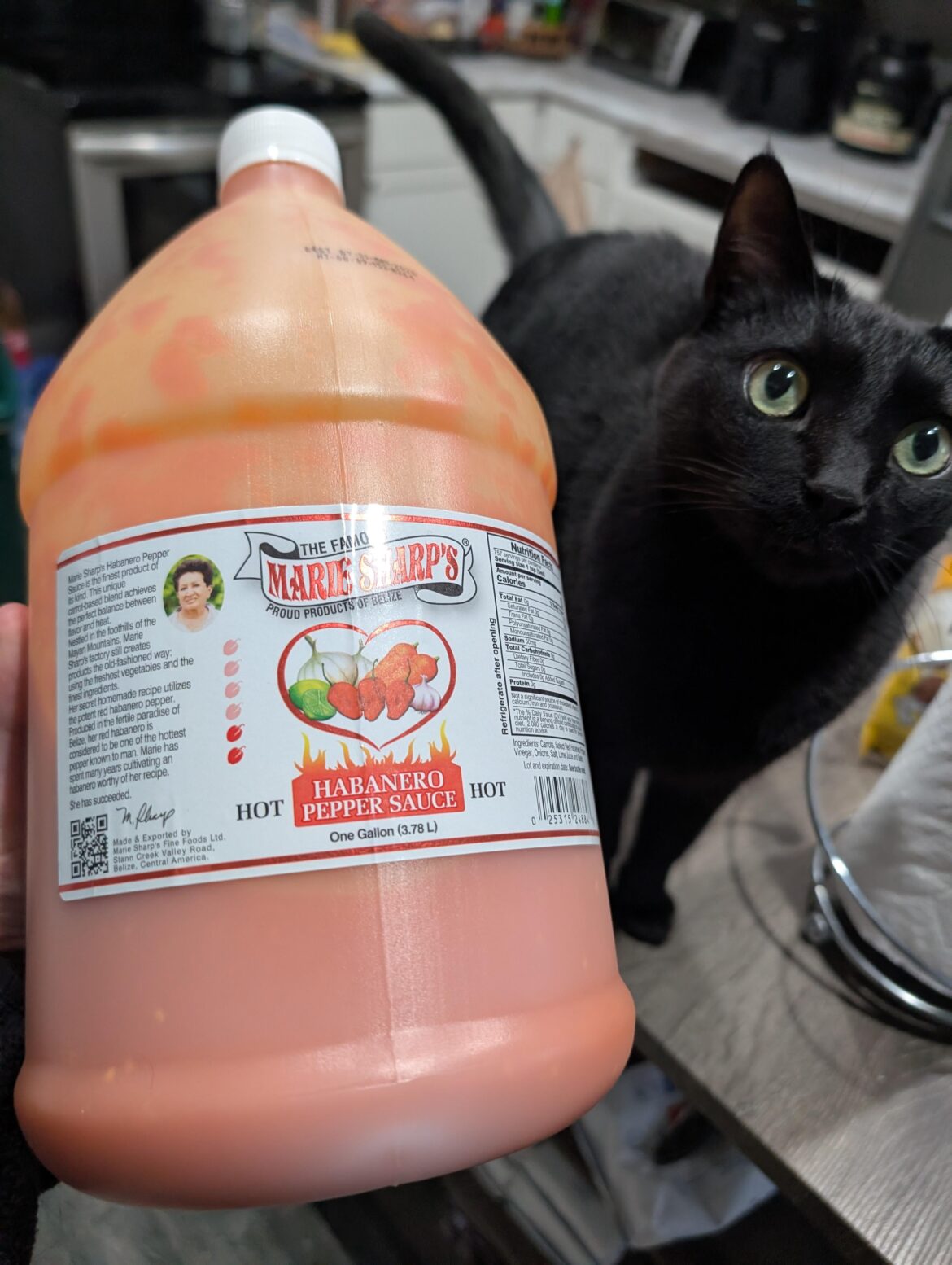 Picked up this hefty girl for 60