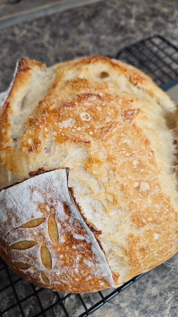 I'm so crazy happy with how she turned out!