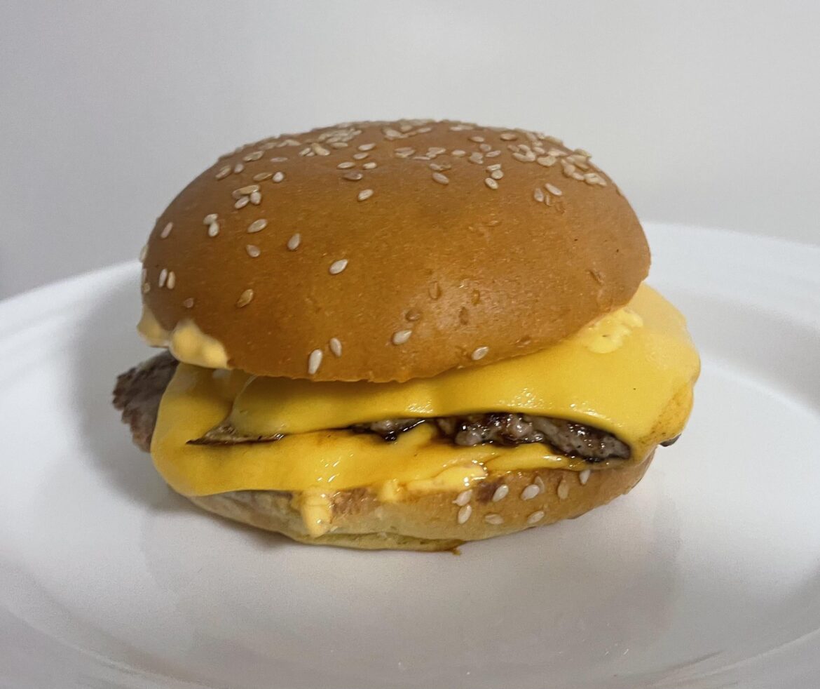 I made a sad little burger I made a sad little burger