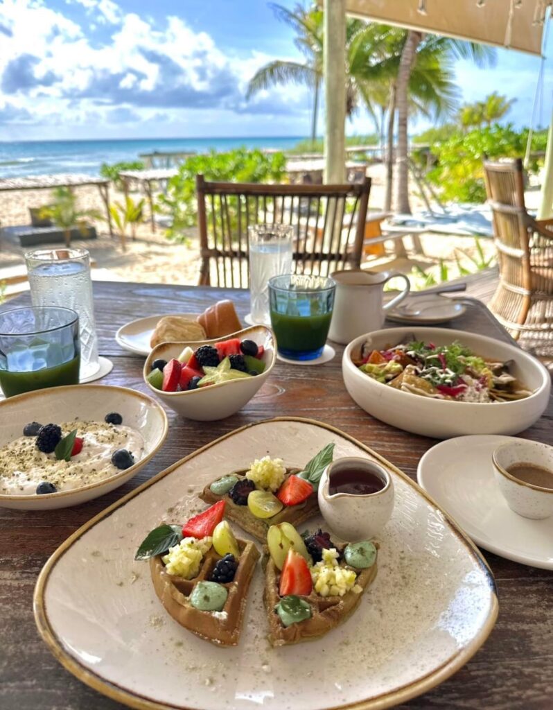 Vegan resort in Mexico