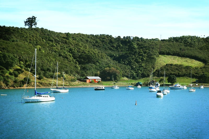 Beyond Sauvignon Blanc: Discovering the Hidden Gems of Waiheke Island (Video) Beyond Sauvignon Blanc: Discovering the Hidden Gems of Waiheke Island (Video)