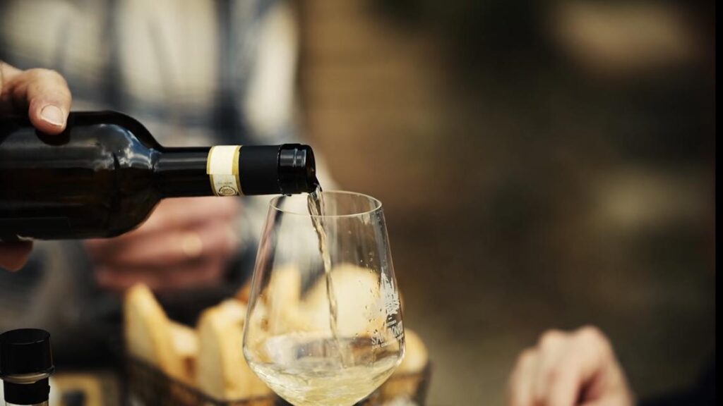 Golden Wine of San Gimignano | Journey to Italy