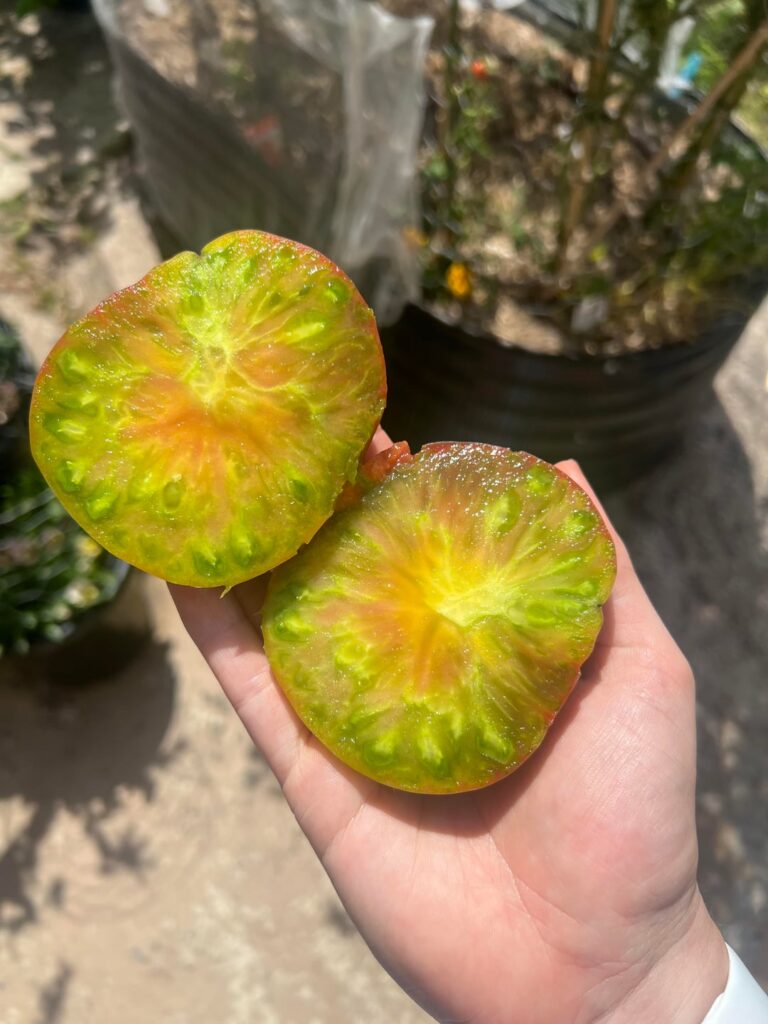 Ananas Noir… She’s a beauty 💗