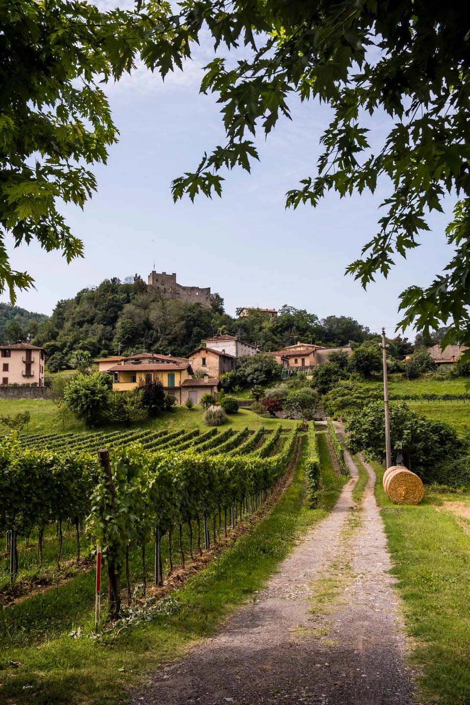 the franciacorta region.