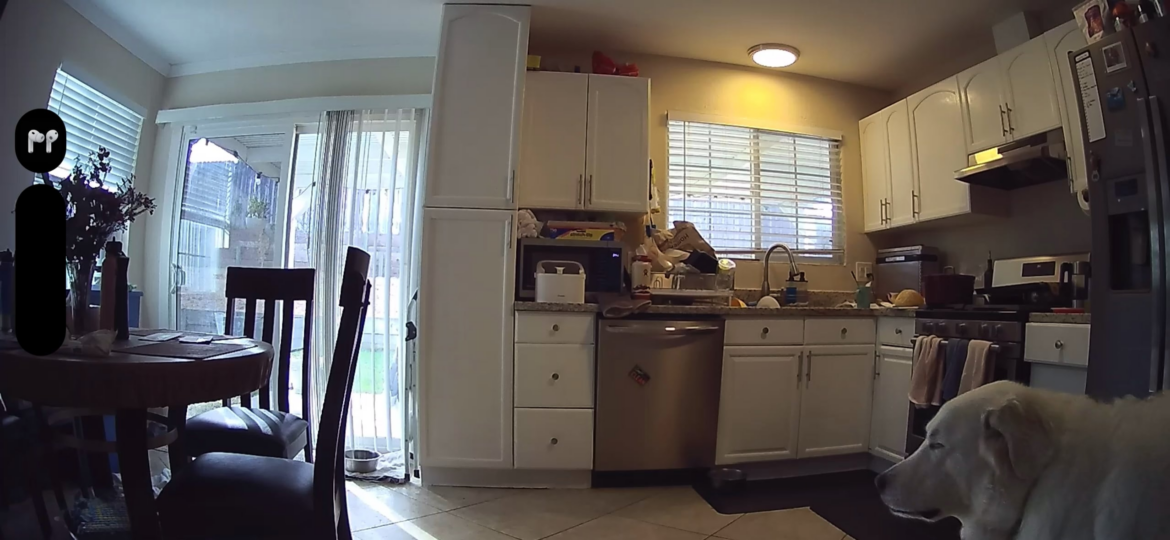 Made my first successful loaf. My dog approved and stole half. 🥲