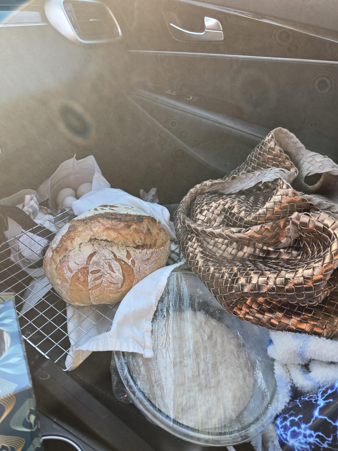 I think you would all enjoy this pic and get a laugh out of it!