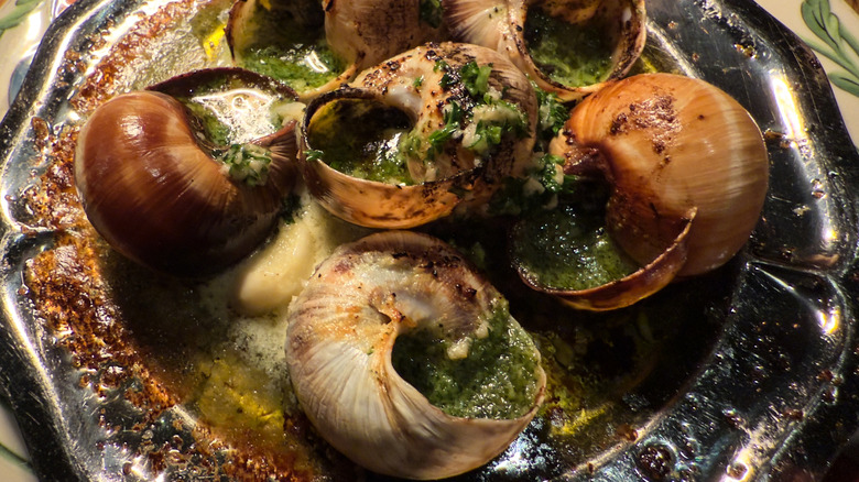 A plate of garlic and butter escargot