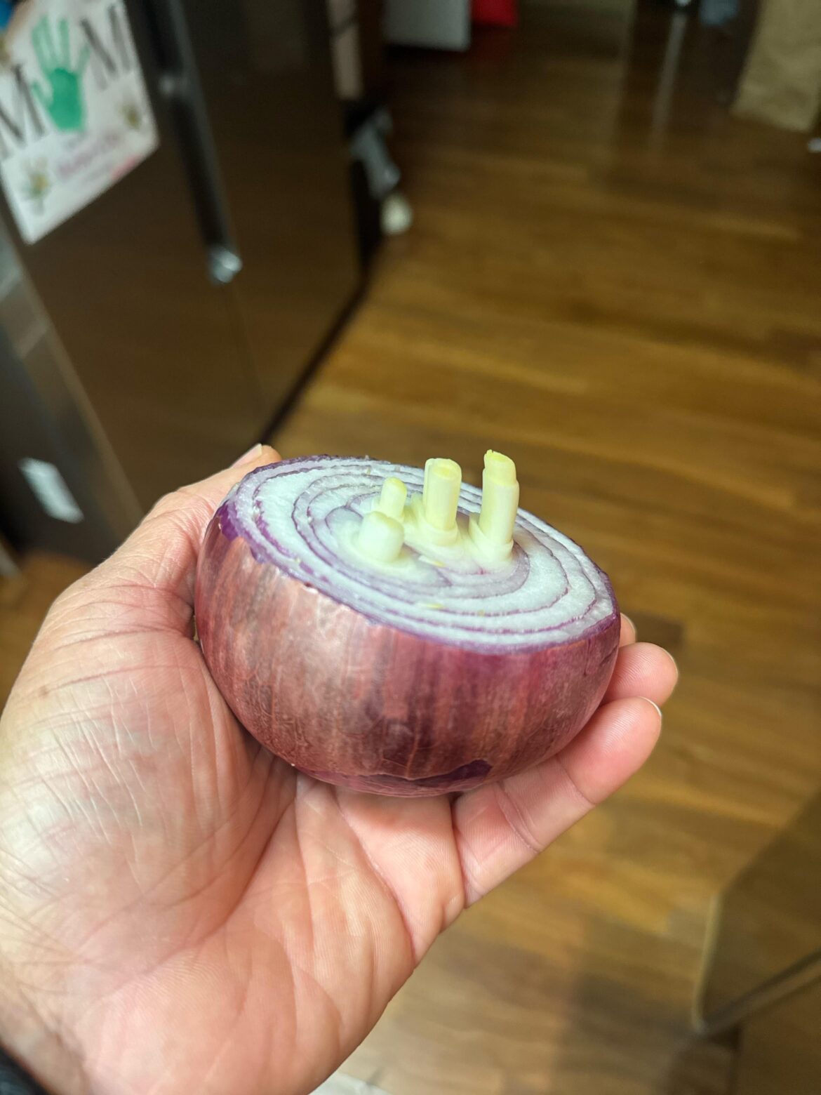 This just sprouted within 3 hours, is it normal?