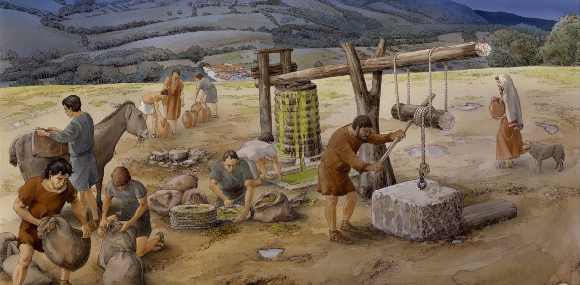 Olives have been essential to life in Italy for at least 6,000 years – far longer than we thought Olives have been essential to life in Italy for at least 6,000 years – far longer than we thought