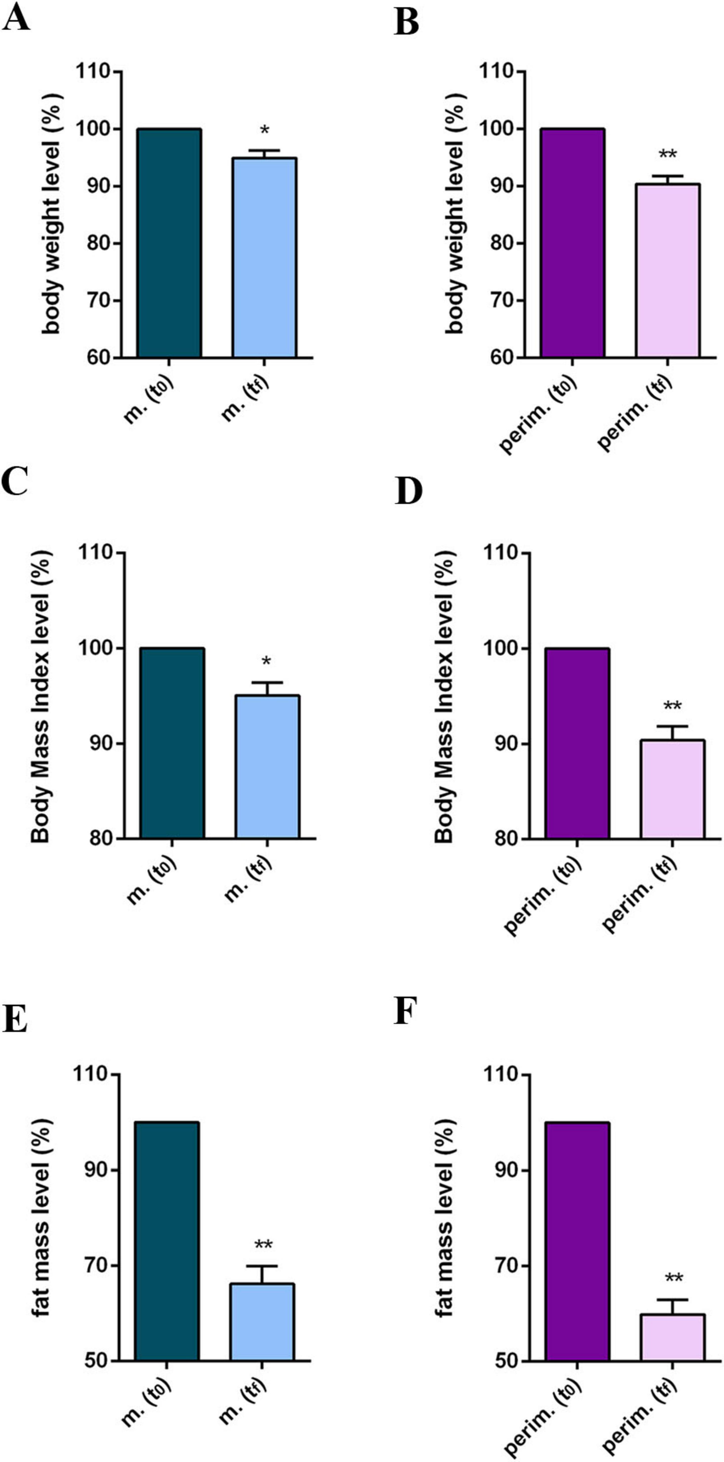 Bar graphs labeled A to F illustrating body weight, body mass index, and fat mass levels in menopausal and perimenopausal women. Dark and light bars represent initial evaluation (t0) and final follow-up (tf), respectively. Graphs A and B show body weight, graphs C and D show body mass index levels, and graphs E and F show fat mass levels. Graphs display a significant reduction in all parameters at the final follow-up, both in the menopausal (light blue bars) and perimenopausal (light pink bars) women. Significant differences are marked by asterisks: one or two asterisks representing varying levels of significance.