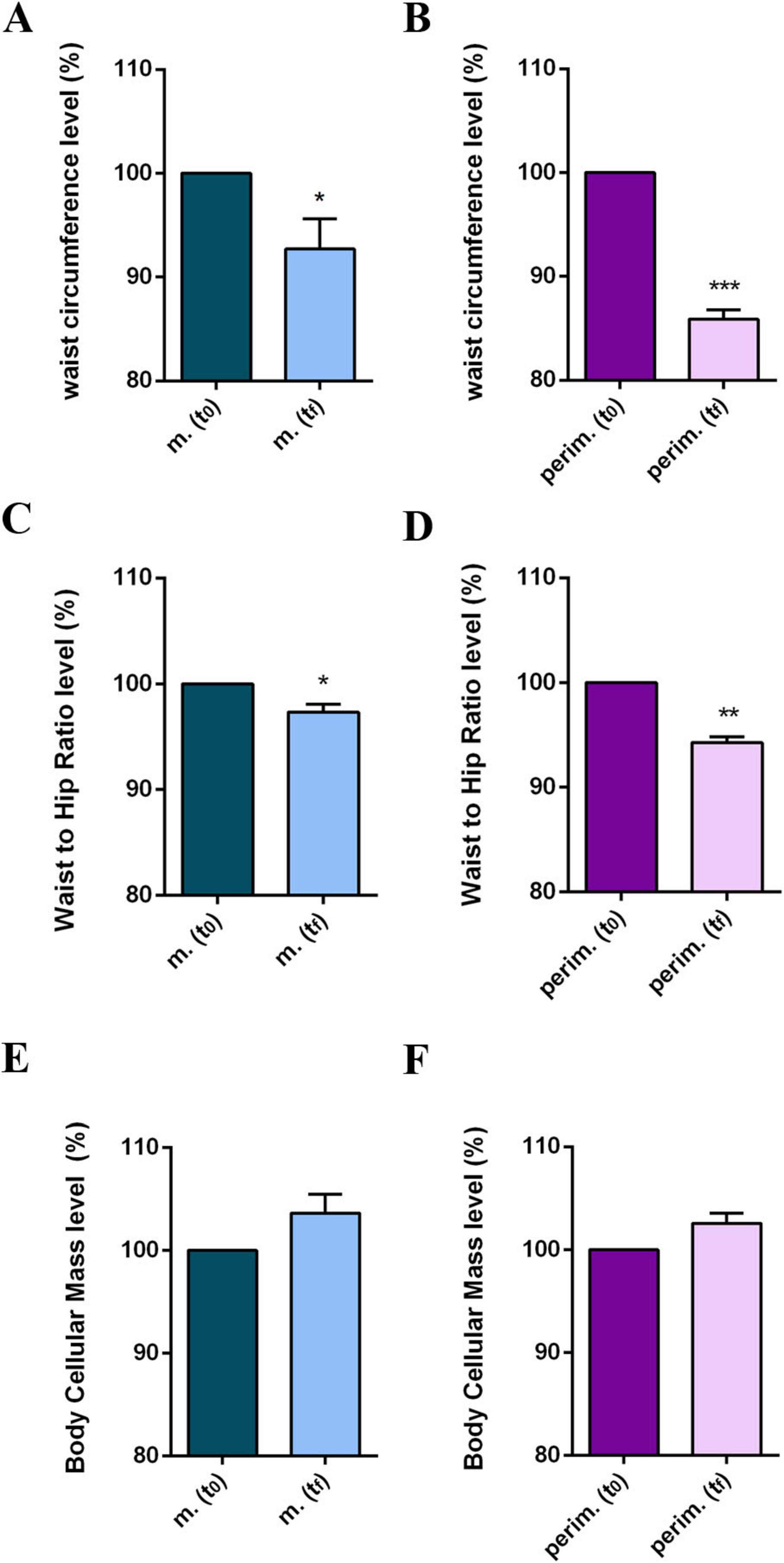 Bar graphs labeled A to F compare waist circumference, waist-to-hip ratio, and body cellular mass levels in menopausal and perimenopausal women. Dark and light bars represent initial evaluation (t0) and final follow-up (tf), respectively. Graphs A and B show waist circumference, C and D display waist-to-hip ratio, and E and F display body cellular mass levels. Graphs display a significant decrease in all parameters at the final follow-up, except for body cellular mass levels, both in the menopausal (light blue bars) and perimenopausal (light pink bars) women. Asterisks marked statistical significance: single, double, and triple, indicating varying levels of significance.