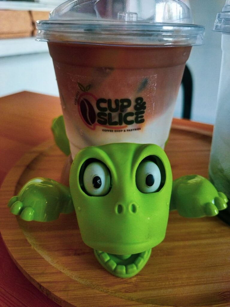 A Coffee Date with My Daughter and the Turtle Coaster