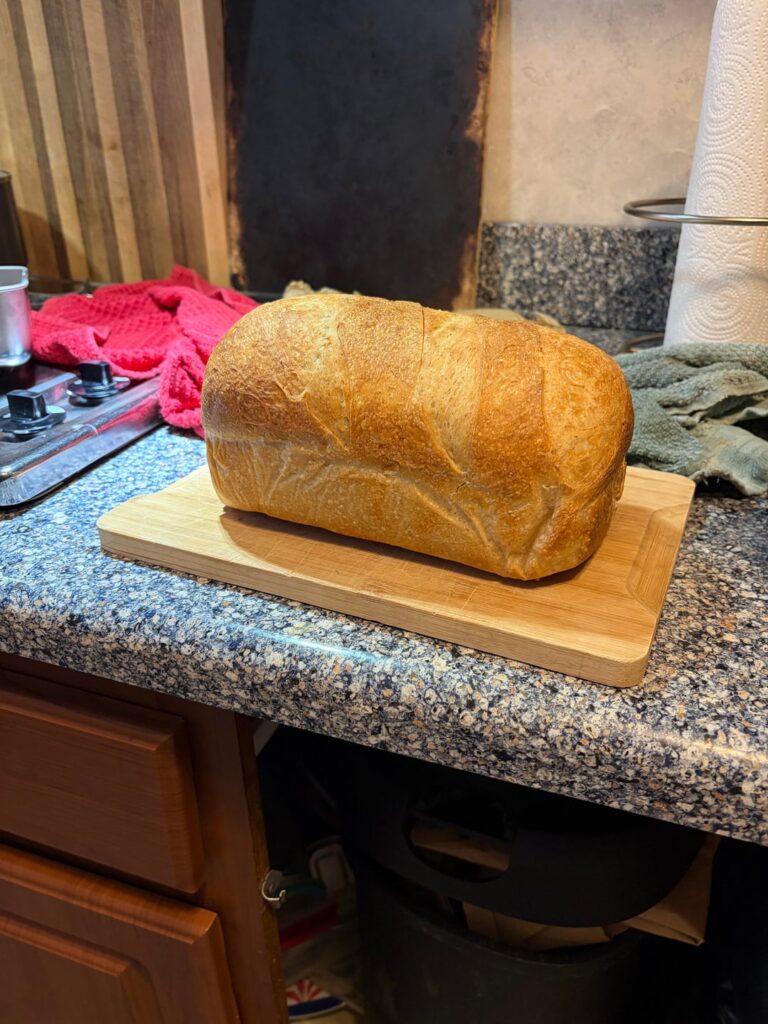 i am never doing traditional sourdough shapes now